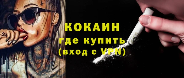 ГАЛЛЮЦИНОГЕННЫЕ ГРИБЫ Карталы
