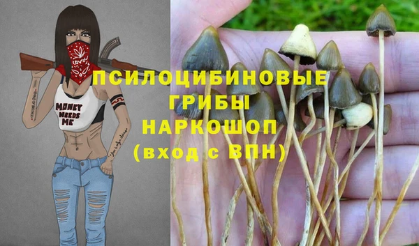 стафф Каменка