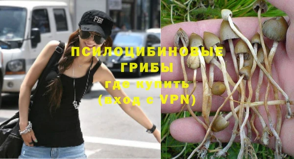 кристаллы Карпинск