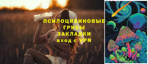 ГАЛЛЮЦИНОГЕННЫЕ ГРИБЫ Карталы