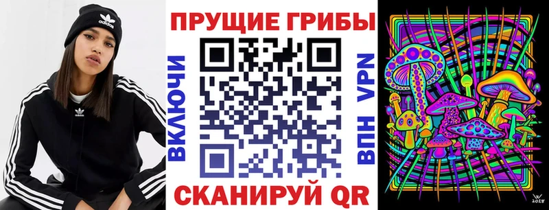 как найти закладки  Яранск  Псилоцибиновые грибы MAGIC MUSHROOMS 